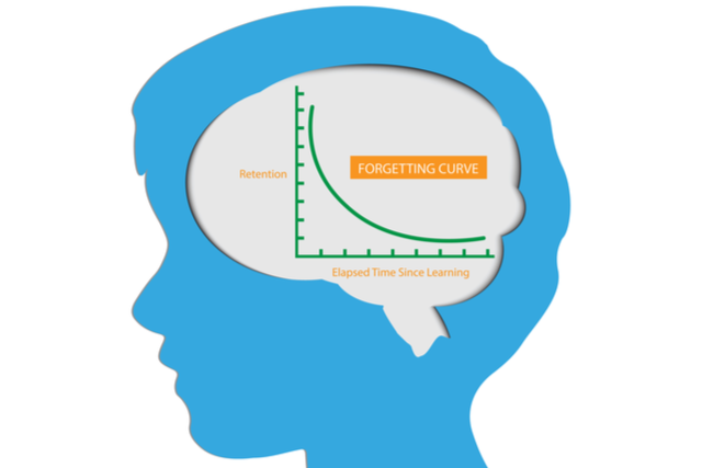 A graphic of the human mind with a graph inside it representing the Forgetting Curve